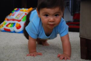 Learning to crawl